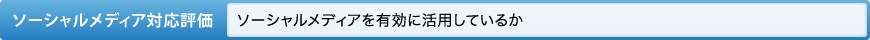 ソーシャルメディア対応評価 ソーシャルメディアを有効に活用しているか