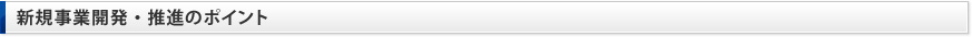 新規事業開発・推進のポイント